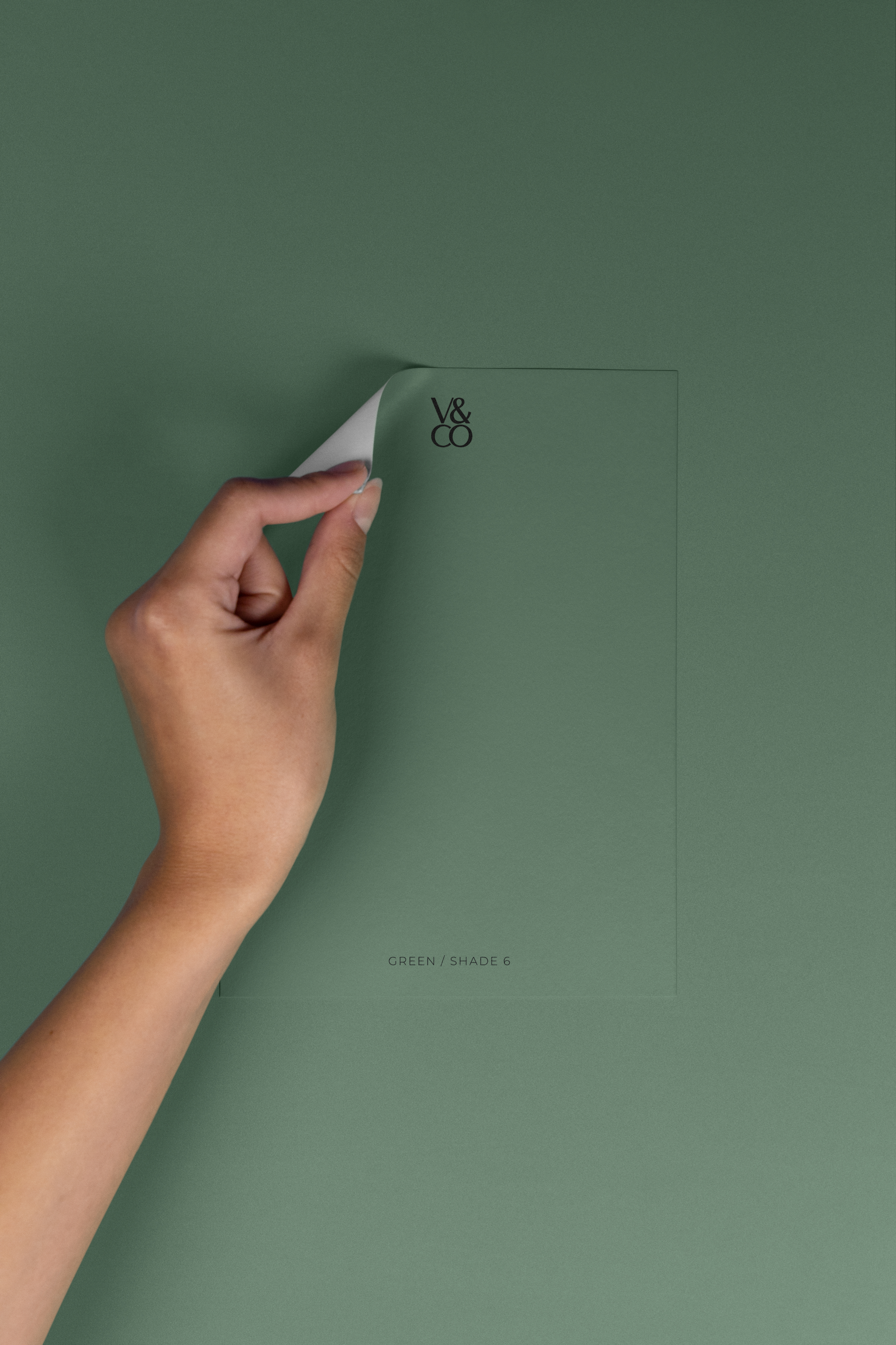 Peel & Stick Colour Samples