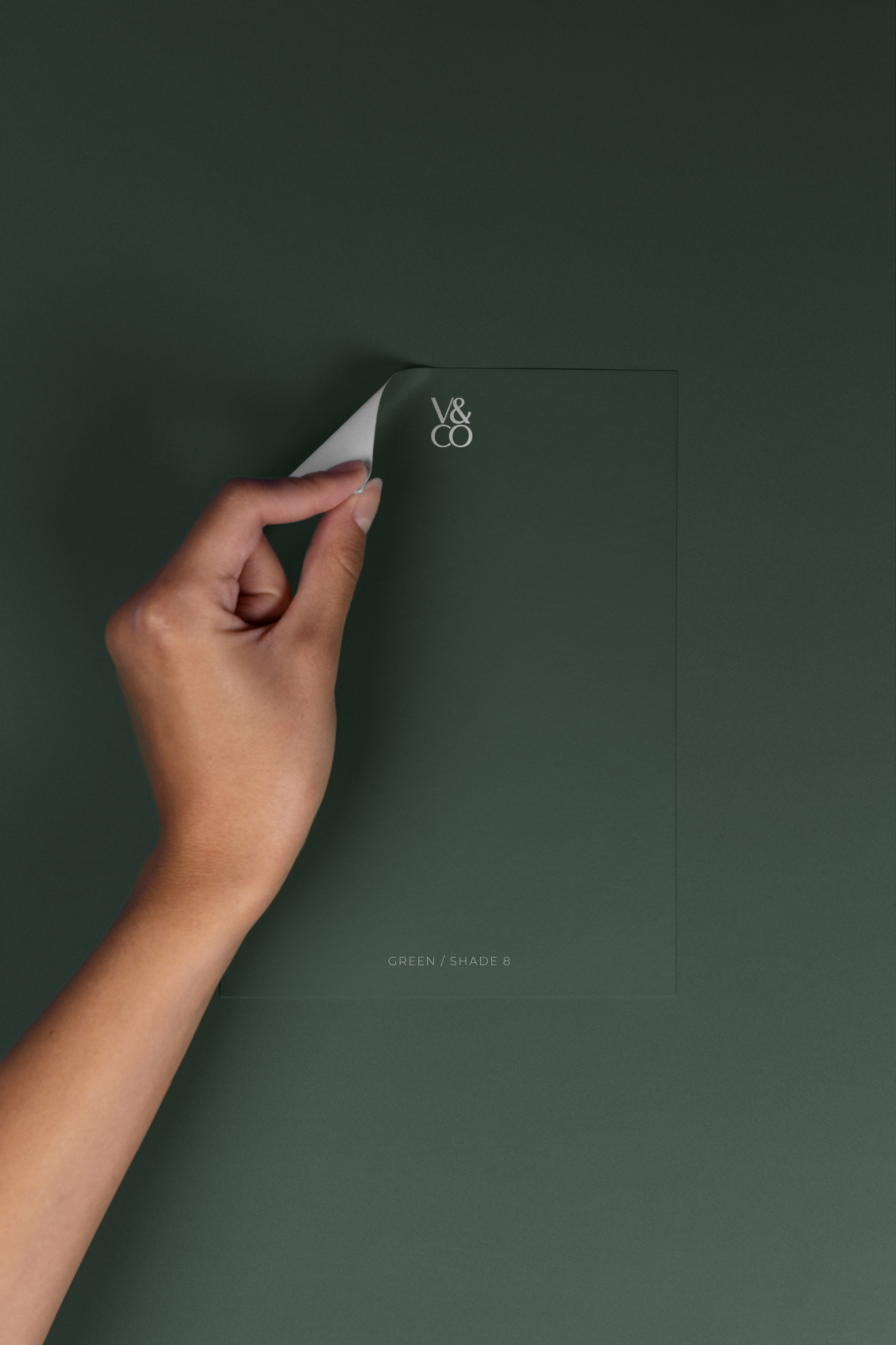 Peel & Stick Colour Samples