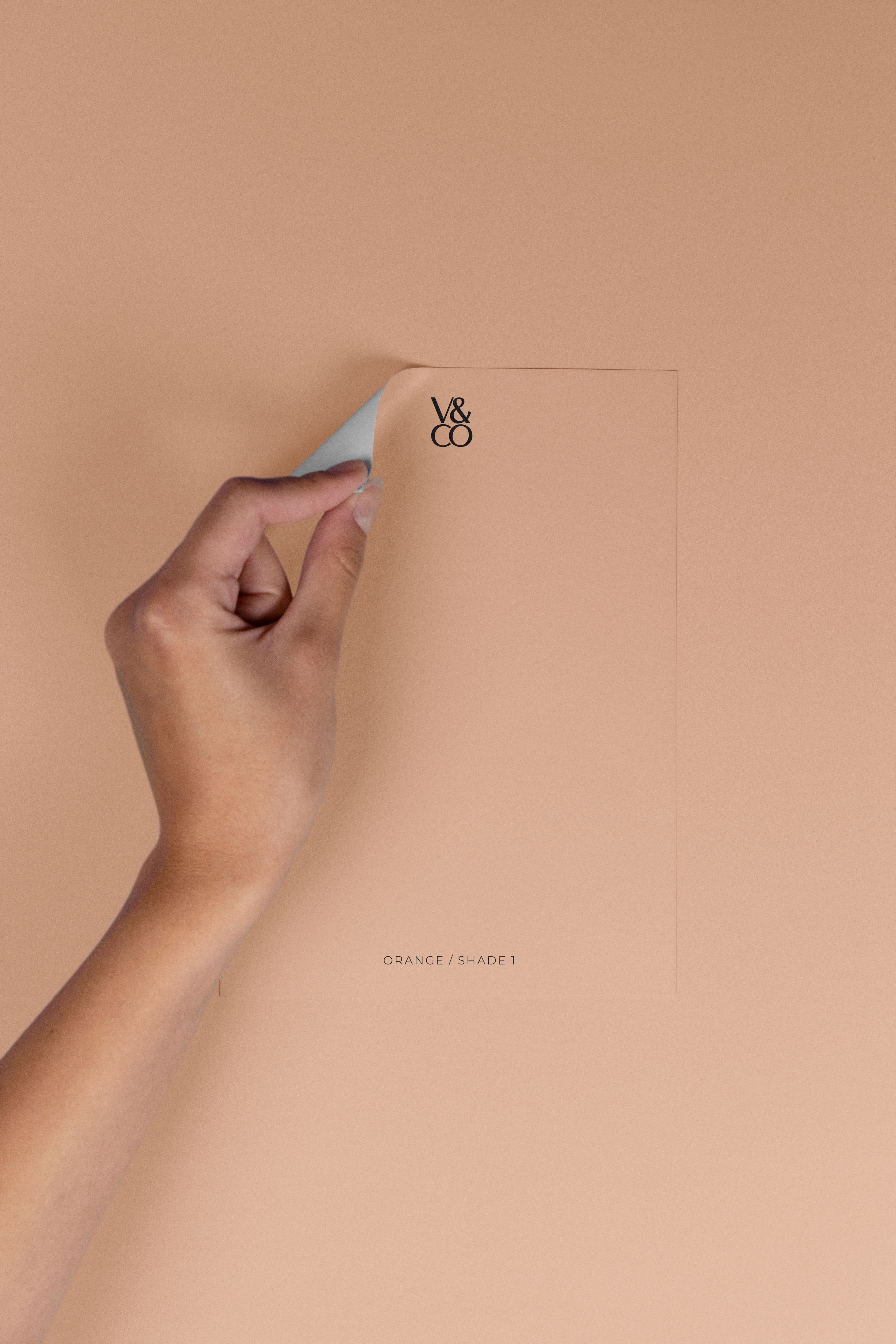 Peel & Stick Colour Samples