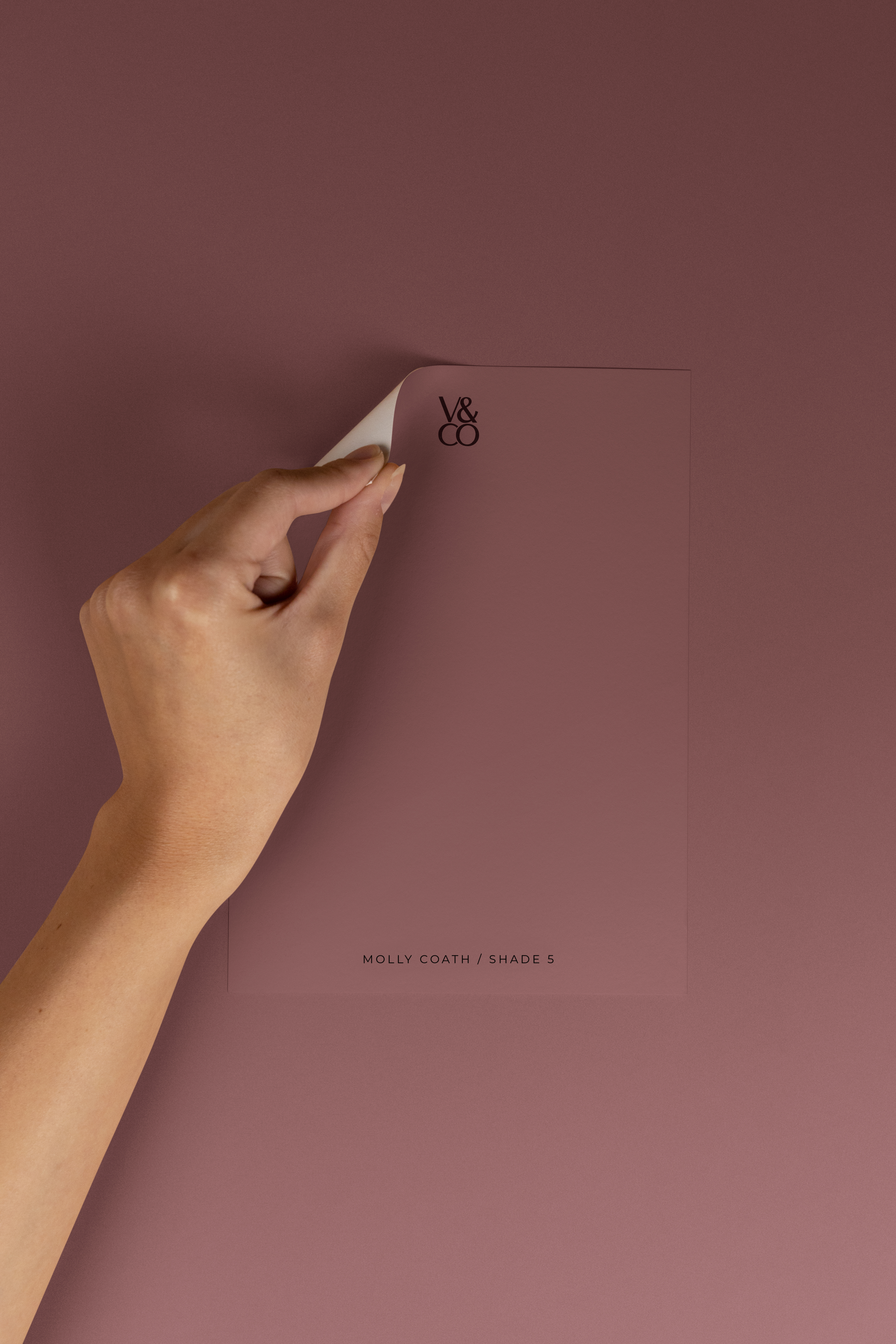 Peel & Stick Colour Samples