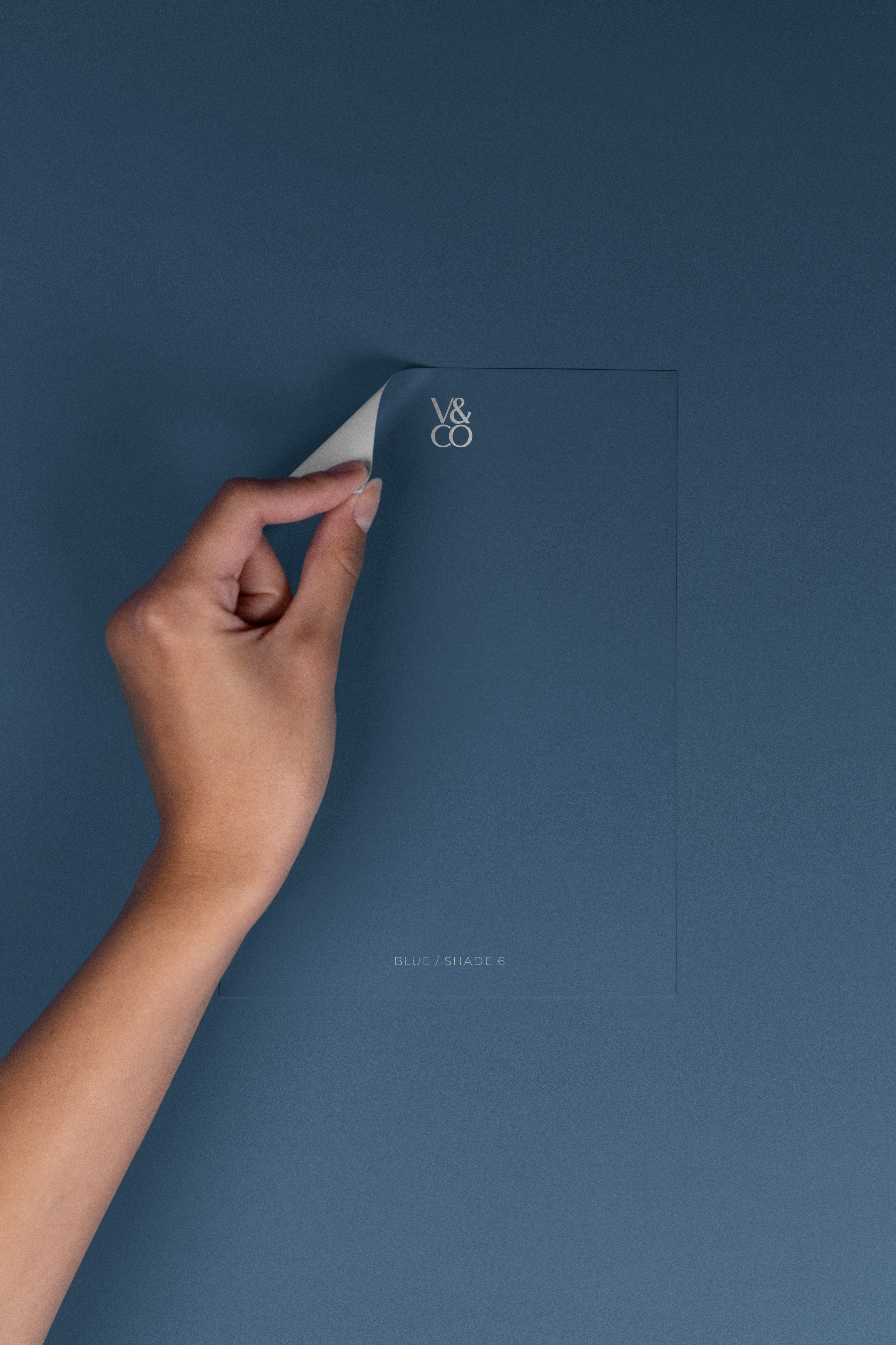 Peel & Stick Colour Samples