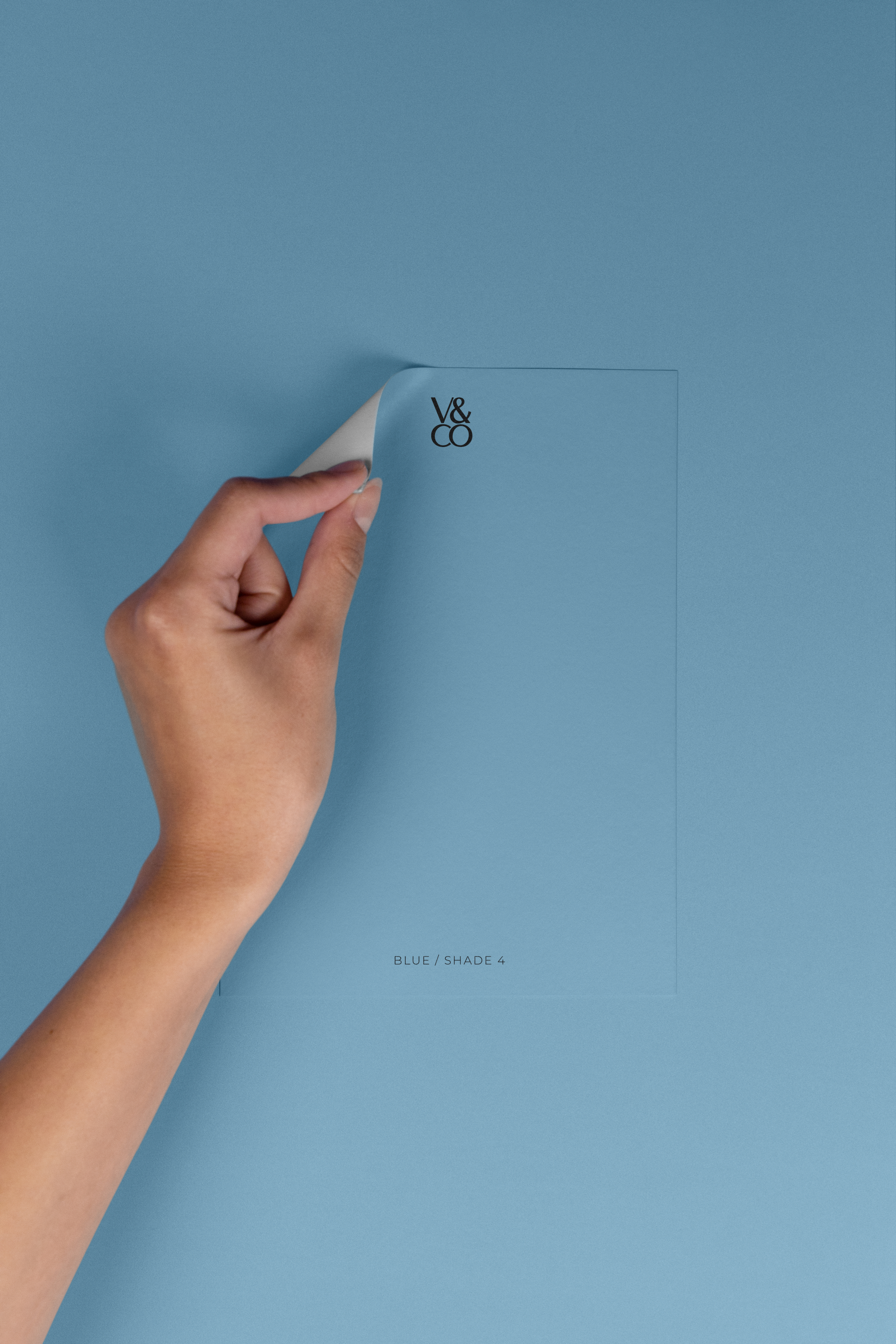 Peel & Stick Colour Samples