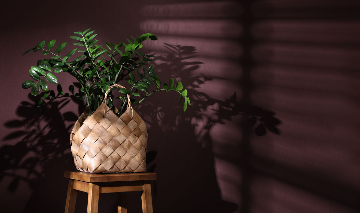 Colour drenching a bathroom