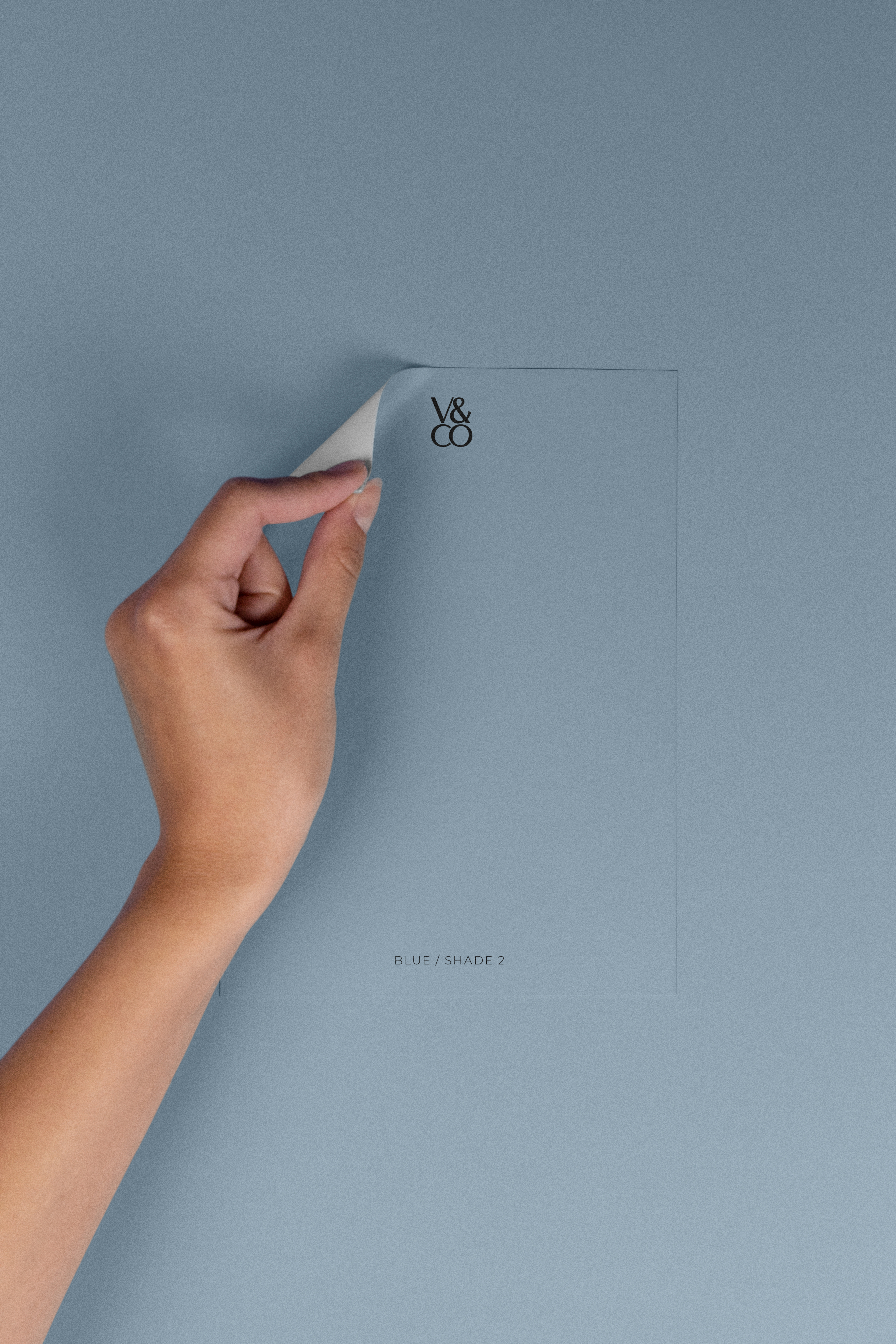 Peel & Stick Colour Samples