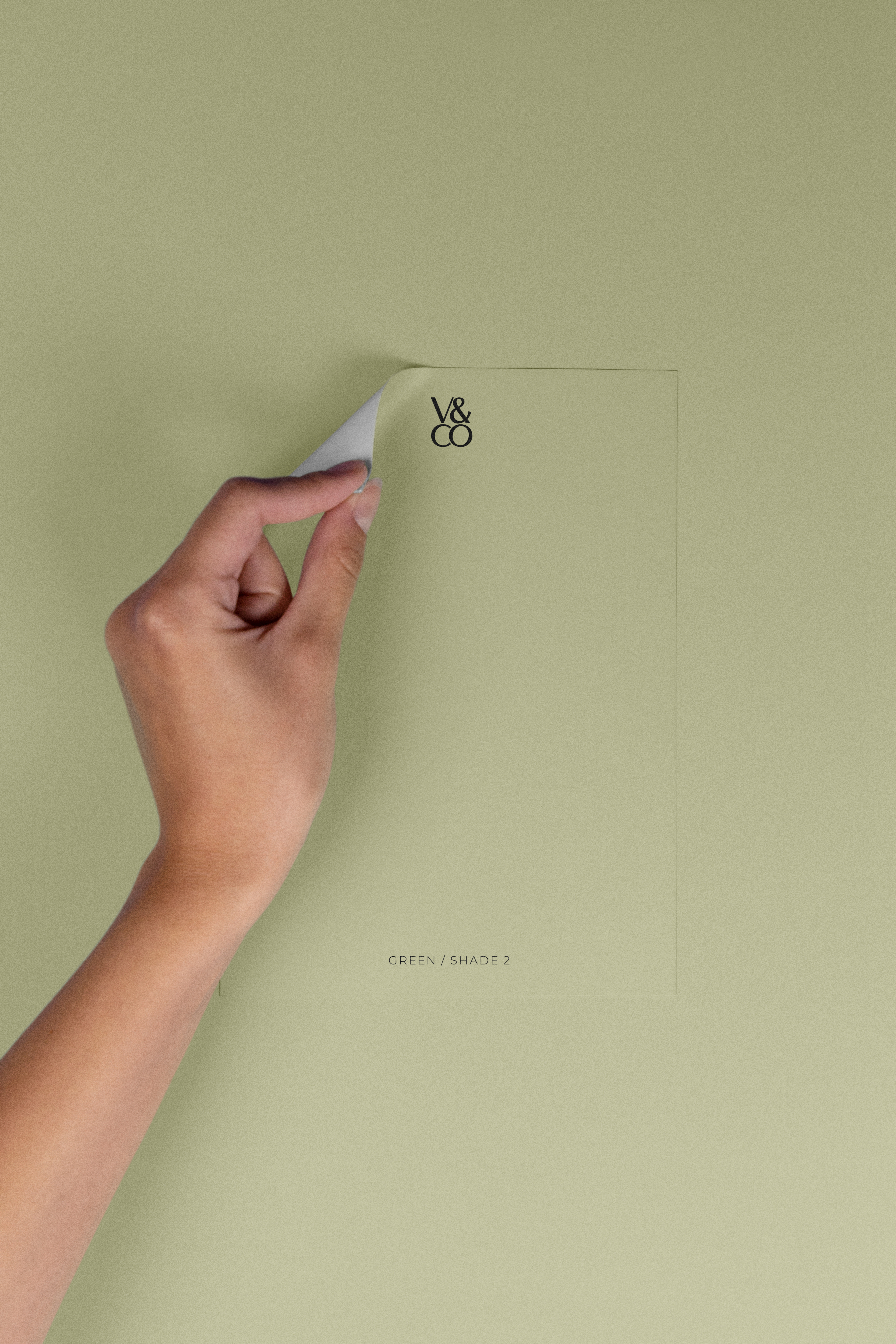 Peel & Stick Colour Samples