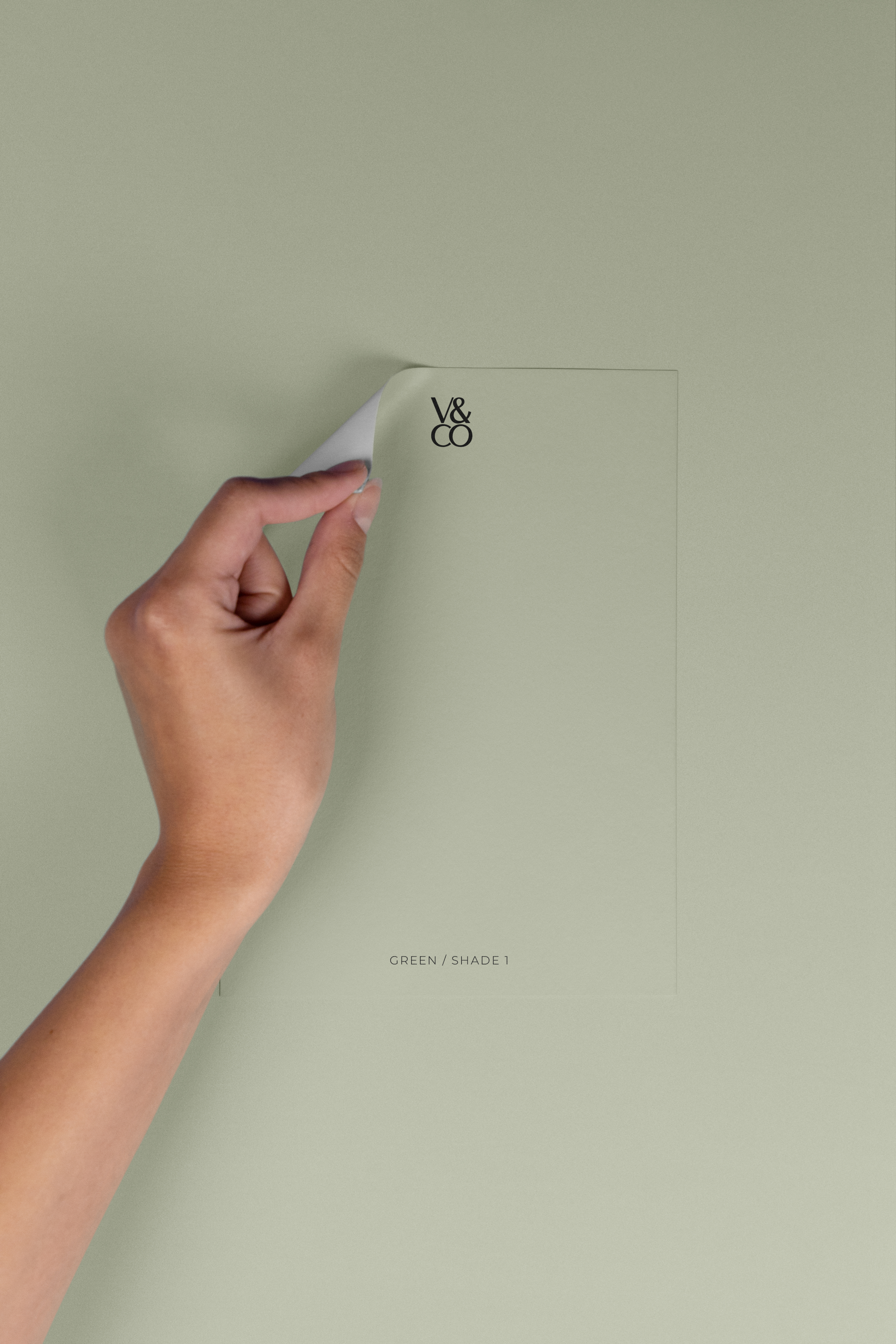 Peel & Stick Colour Samples