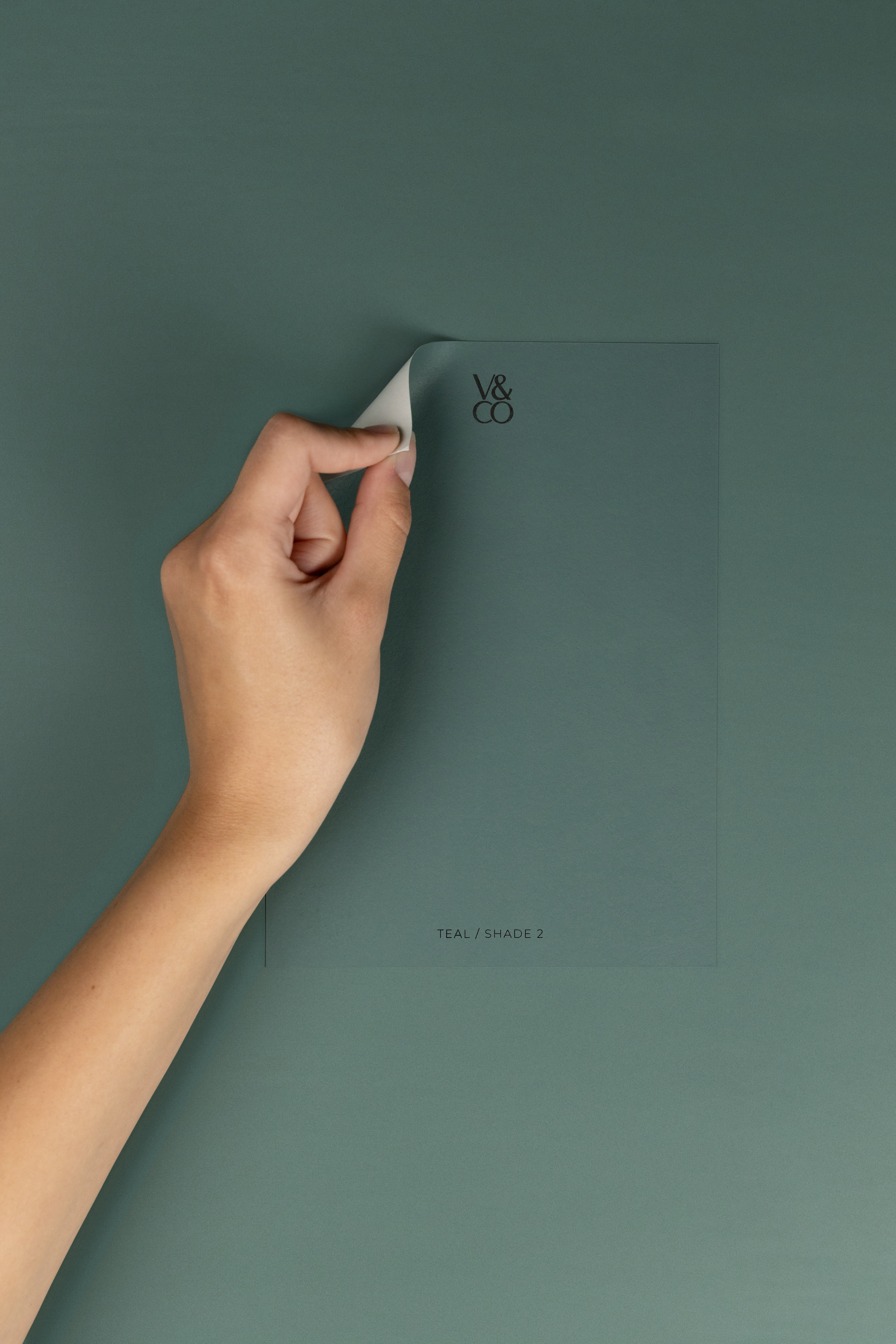 Peel & Stick Colour Samples