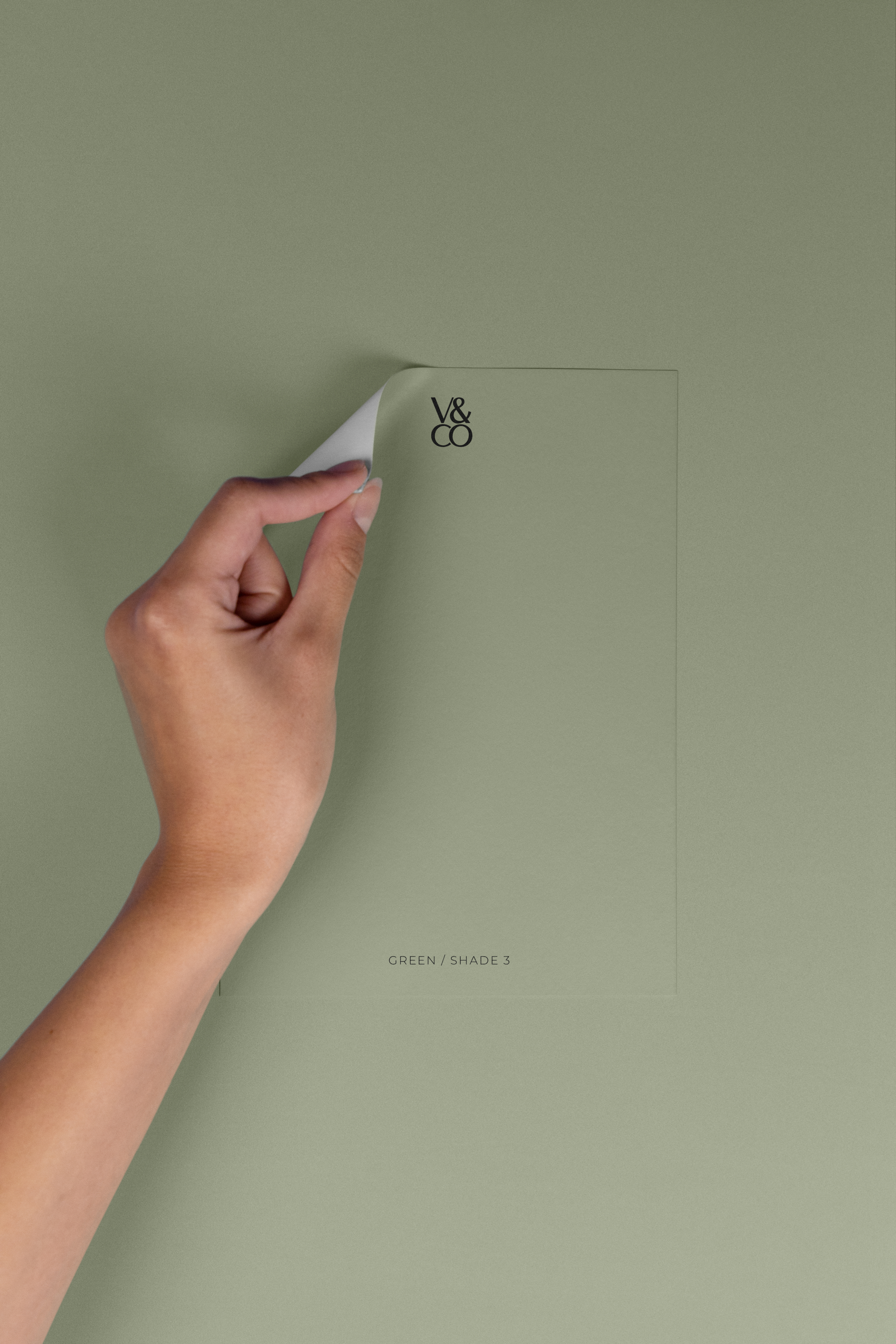 Peel & Stick Colour Samples