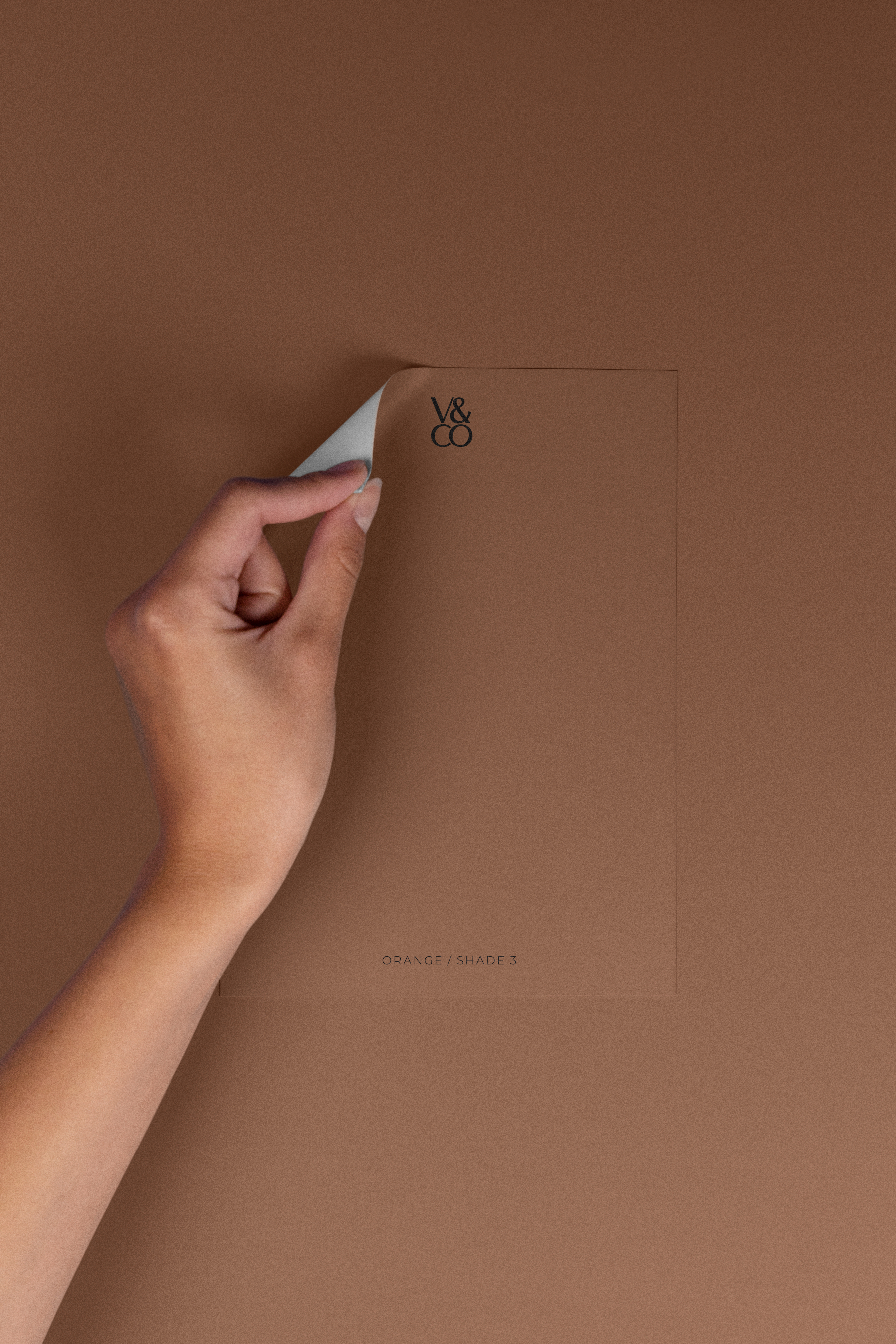 Peel & Stick Colour Samples