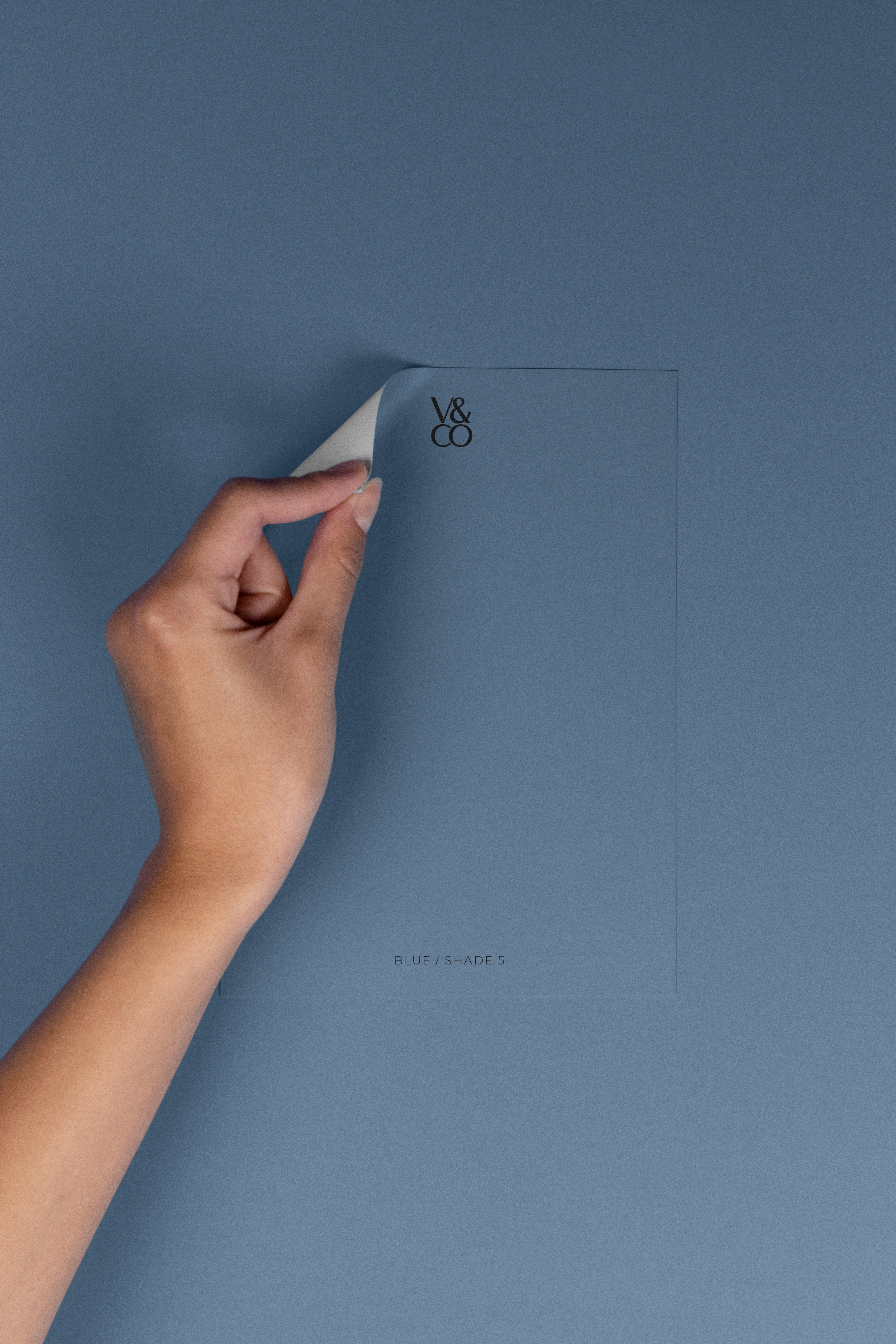 Peel & Stick Colour Samples